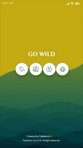 website graphic design logo