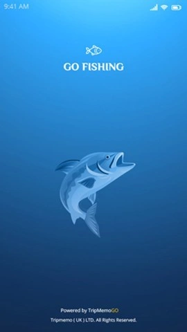 website graphic design logo