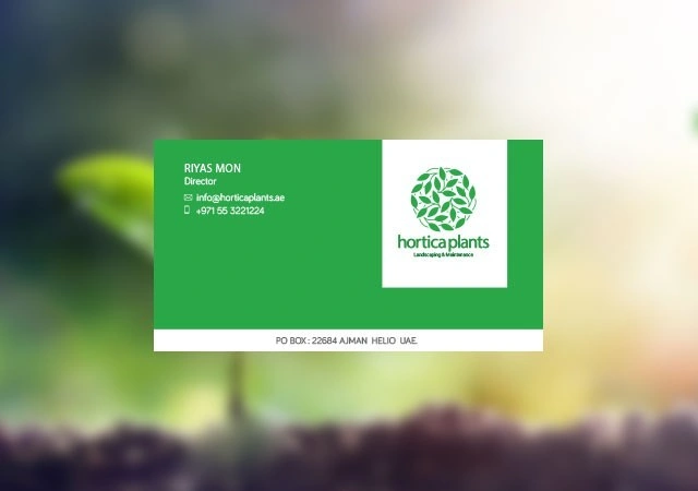 website graphic design logo