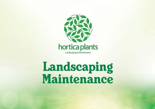 website graphic design logo